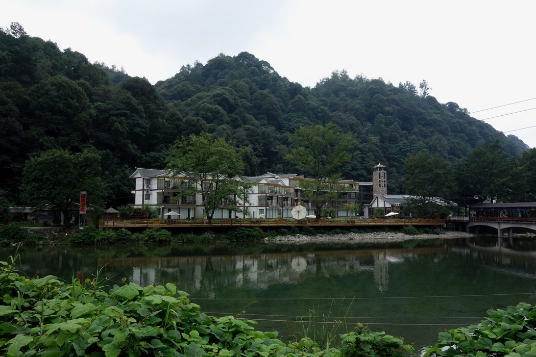 DSC-02.jpg