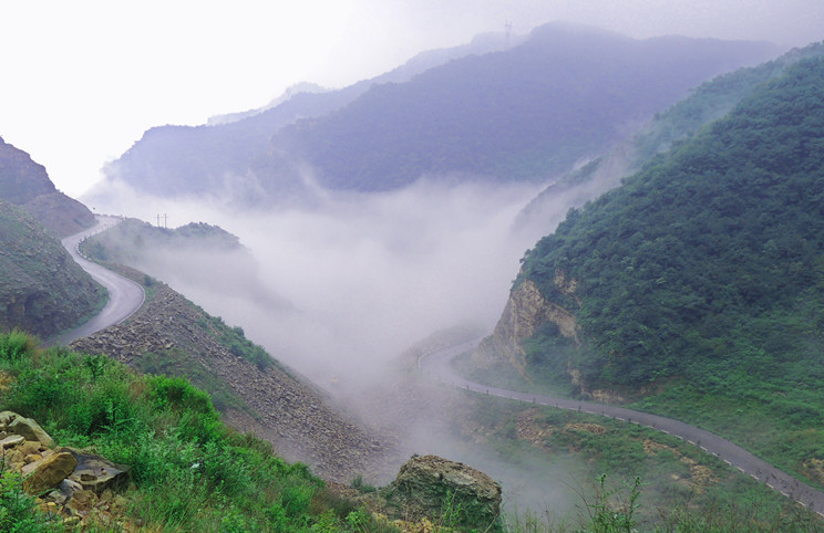 DSCN5298-1_.jpg