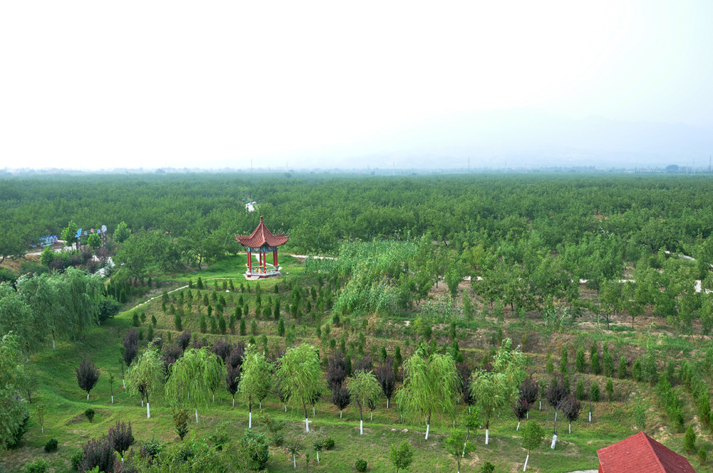 DSC_0174.JPG