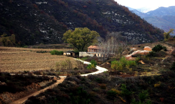 DSC00701.jpg