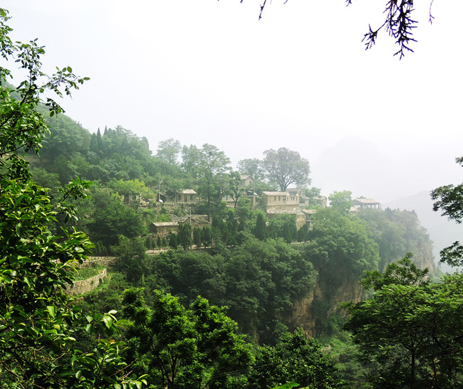 DSCN5525-1_.jpg