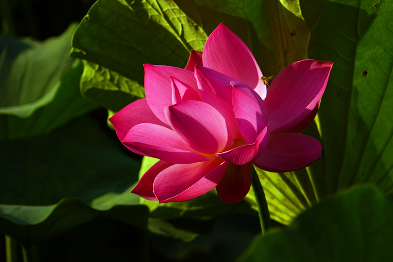 DSC05546_.jpg