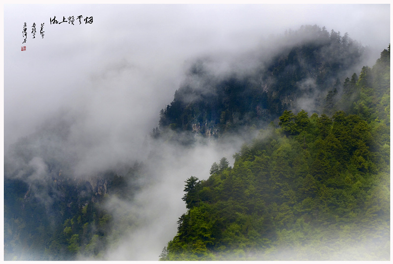 DSC_2512mnp2x.jpg