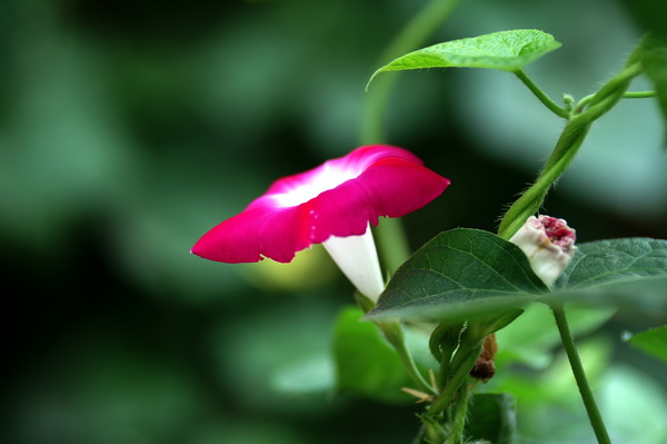 PICT0021.jpg