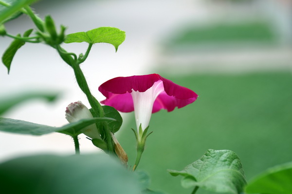 PICT0023.jpg
