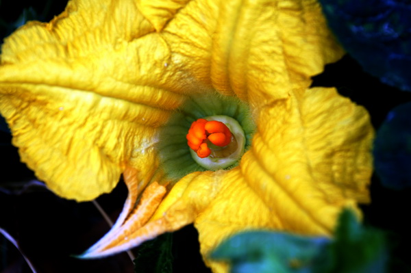 PICT0028.jpg