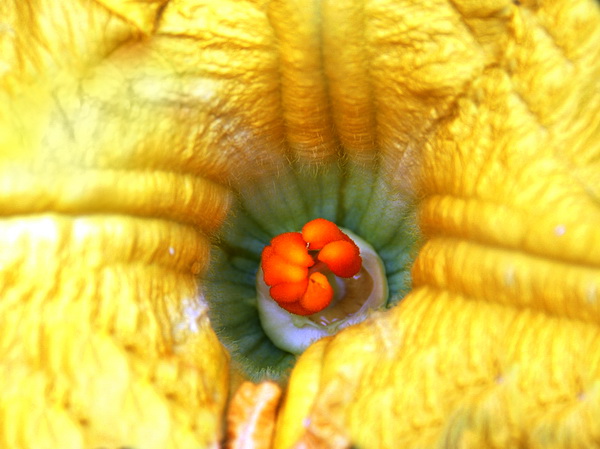 PICT0029.jpg