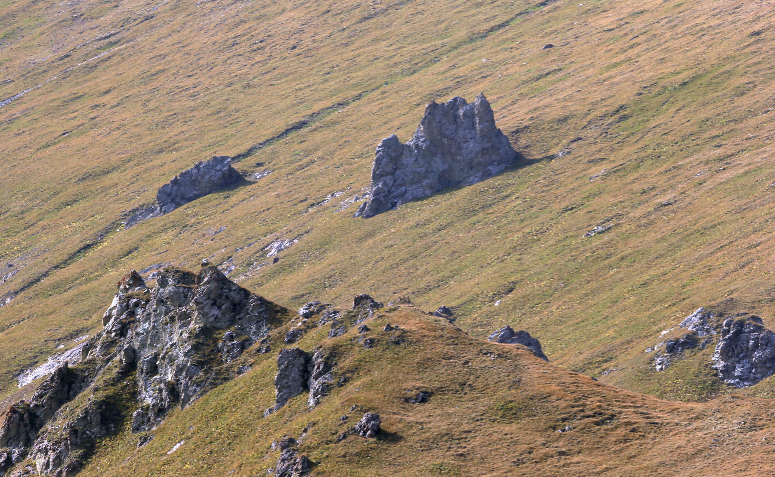 _Y0R5098.JPG