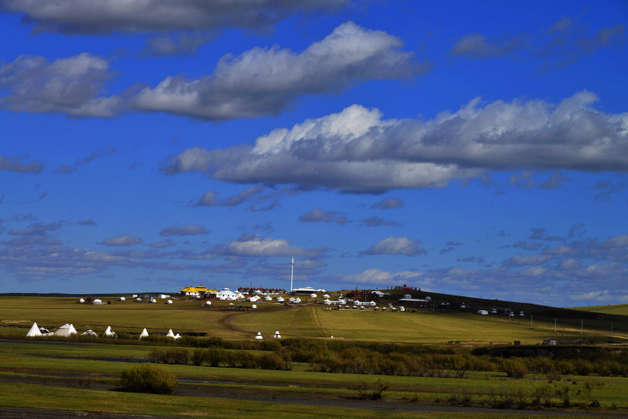 _DSC6225.jpg