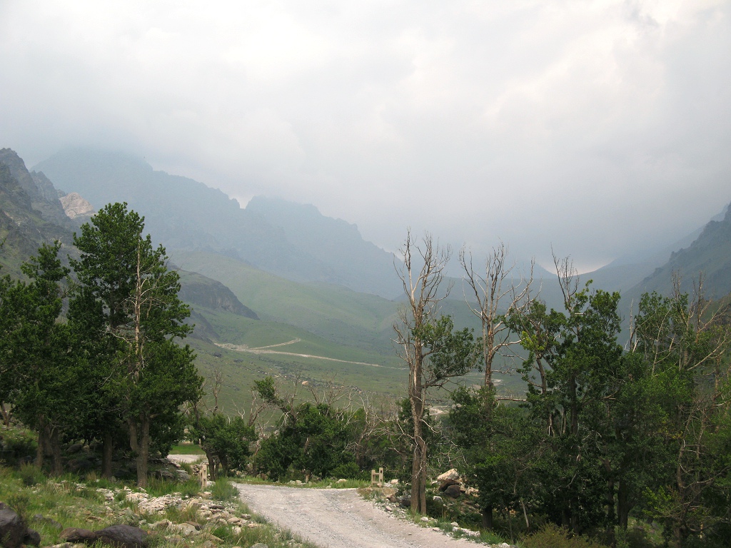IMG_7127.JPG