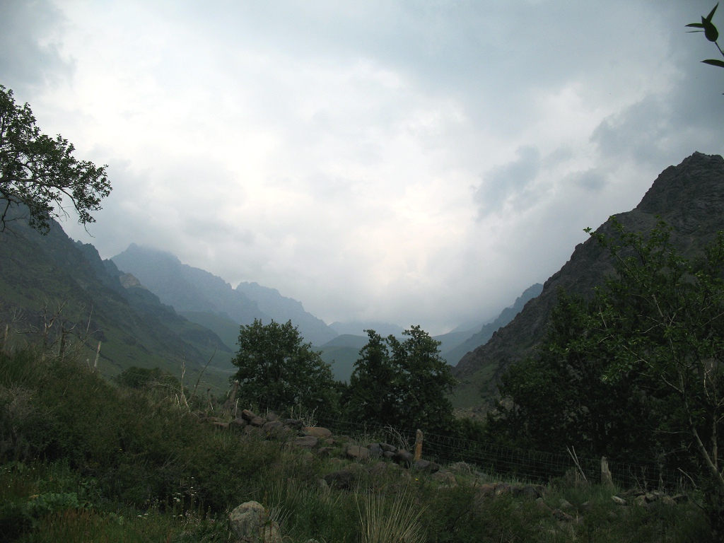 IMG_7116.JPG