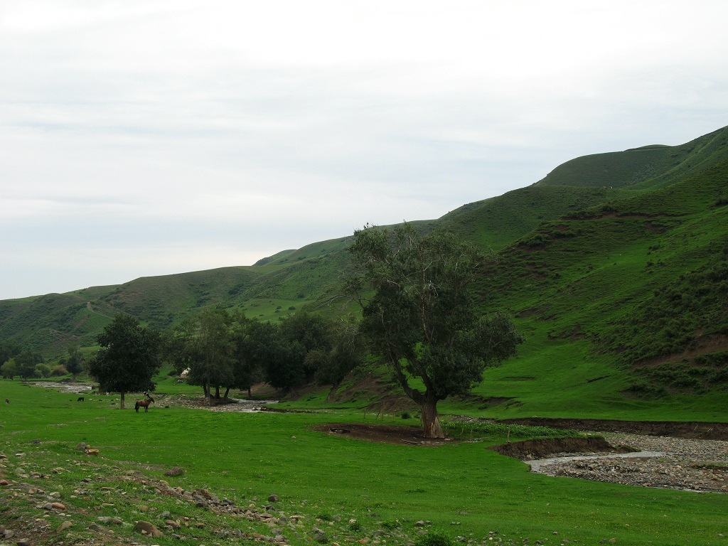 Ƭ 1058.jpg