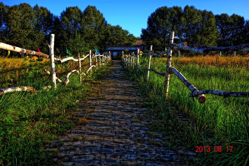 DSC03590.jpg