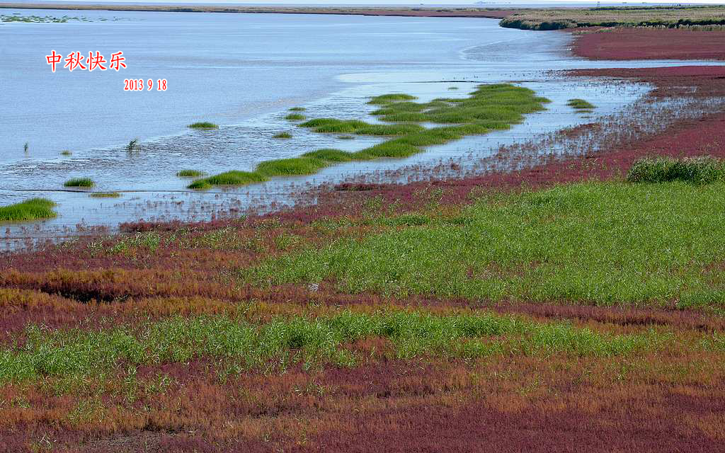 DSC_6434.jpg