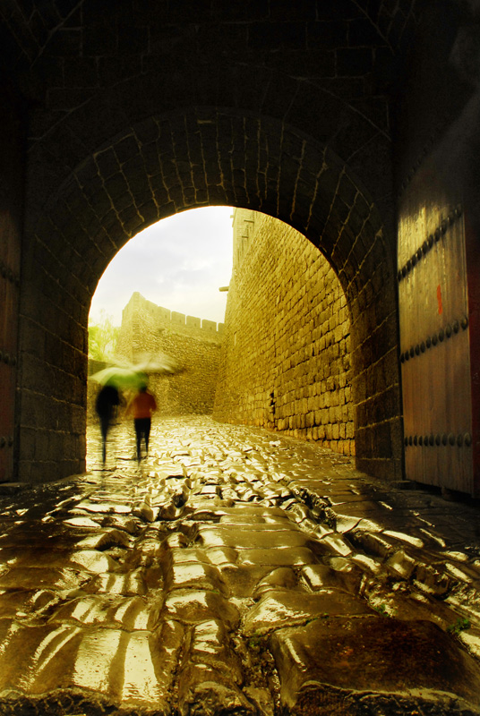 ŵٻӰ.jpg