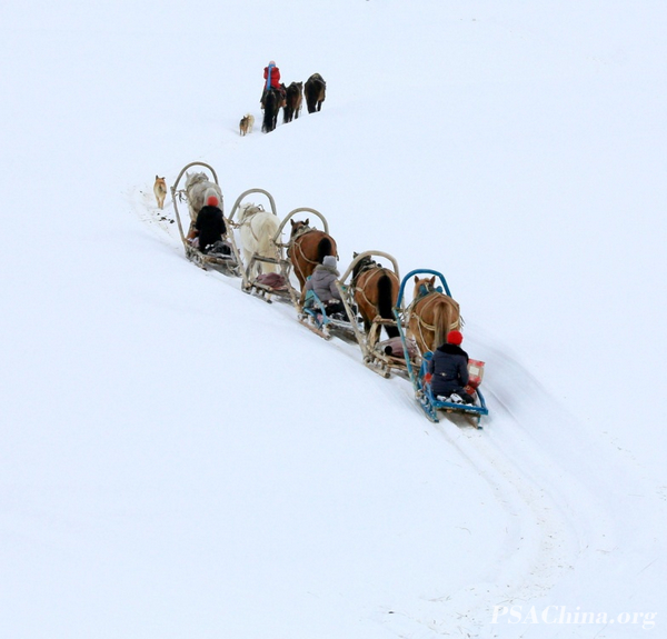 s way home1.jpg