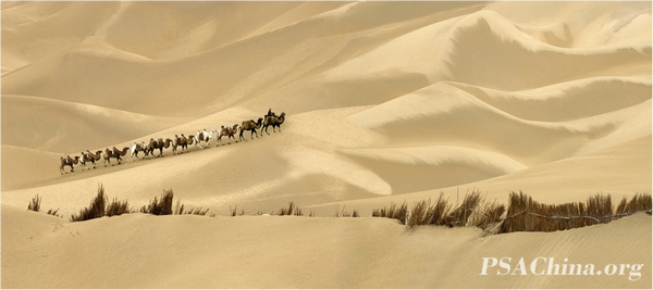 10.Ʒɳ֮Desert Territory No.2.jpg