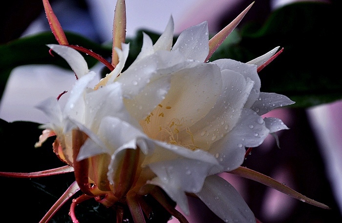DSC_0018.JPG