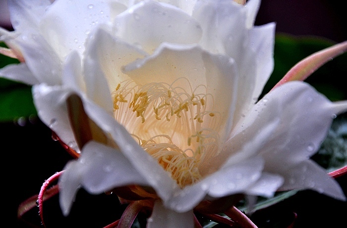 DSC_0025.JPG
