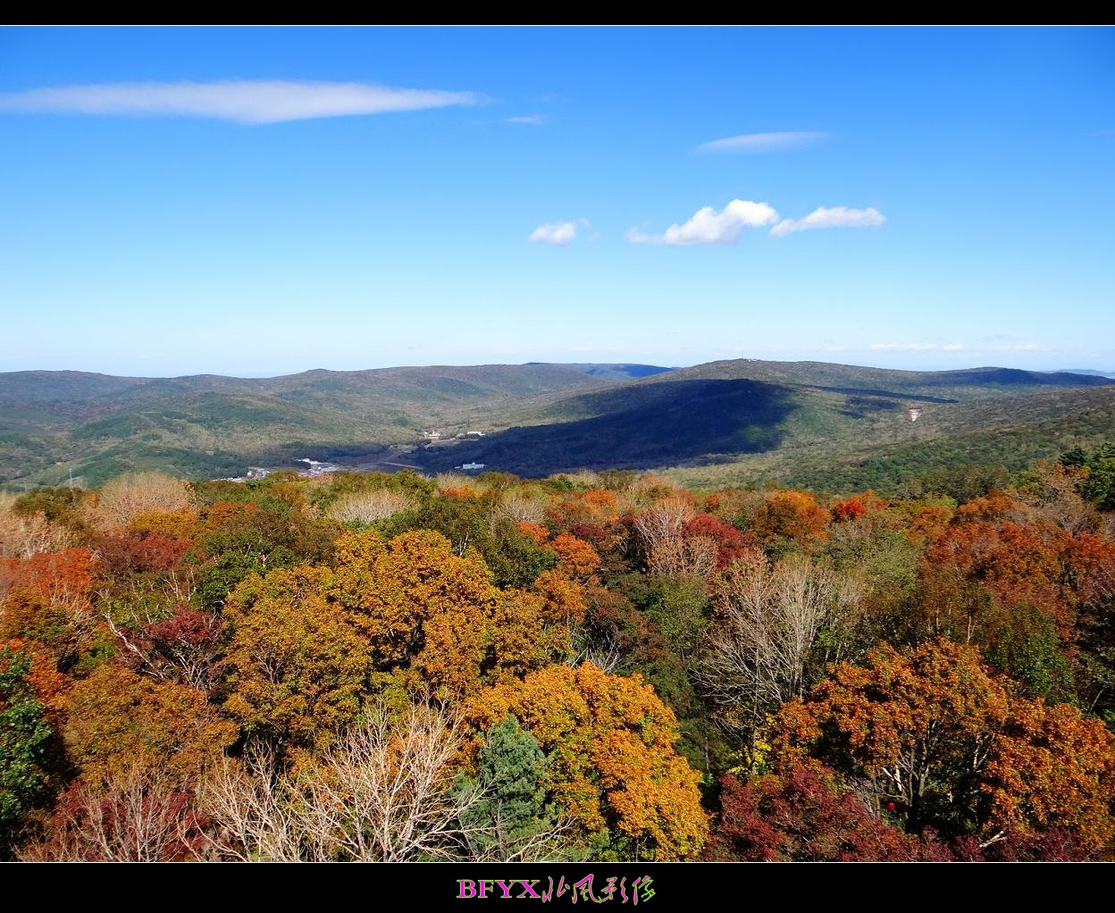 DSC00249_conew1.jpg