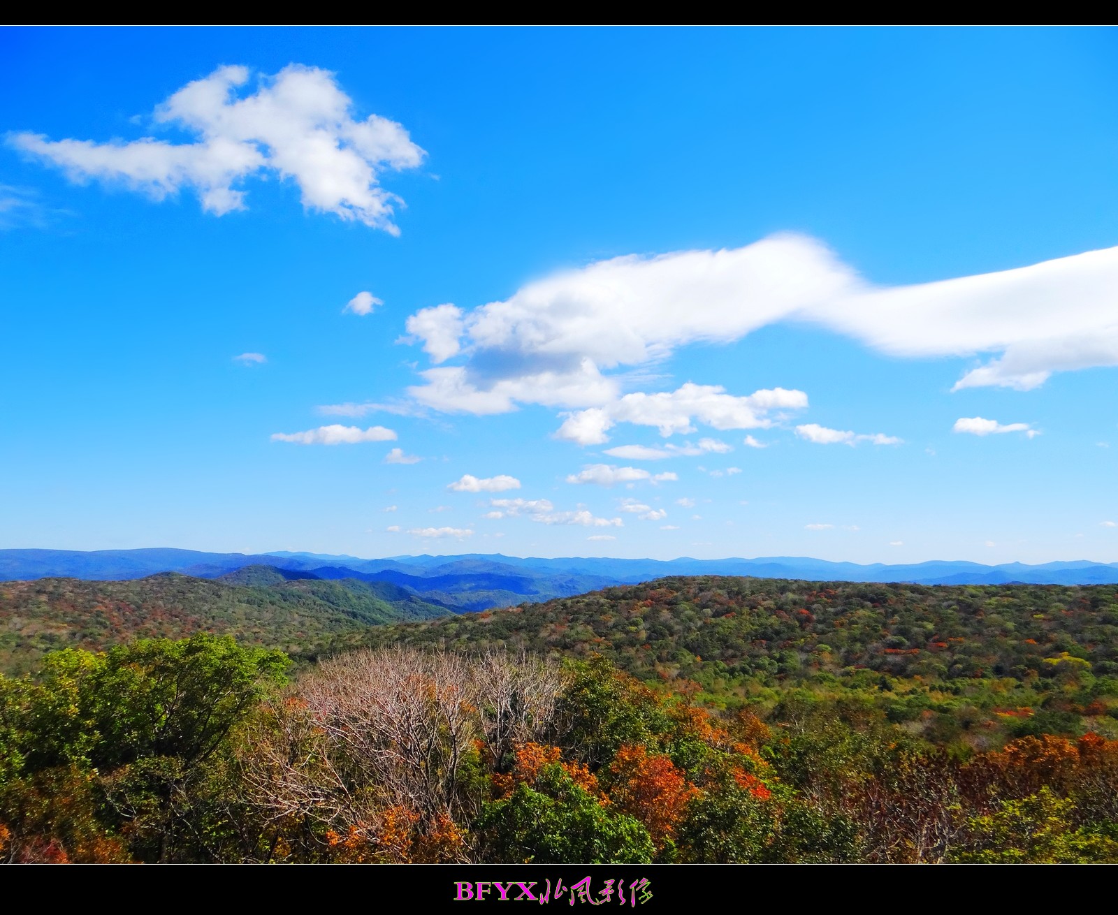 DSC00269_conew1.jpg