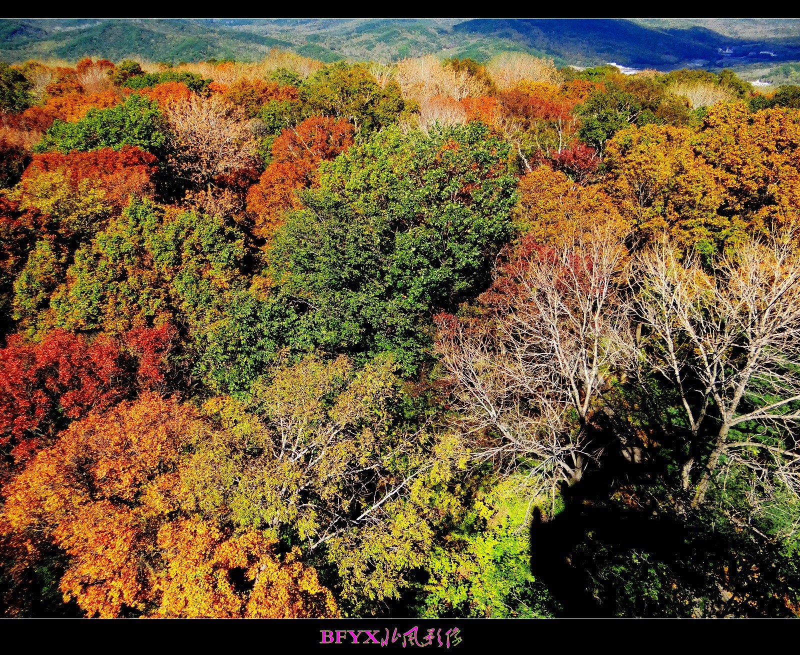 DSC00227_conew1.jpg
