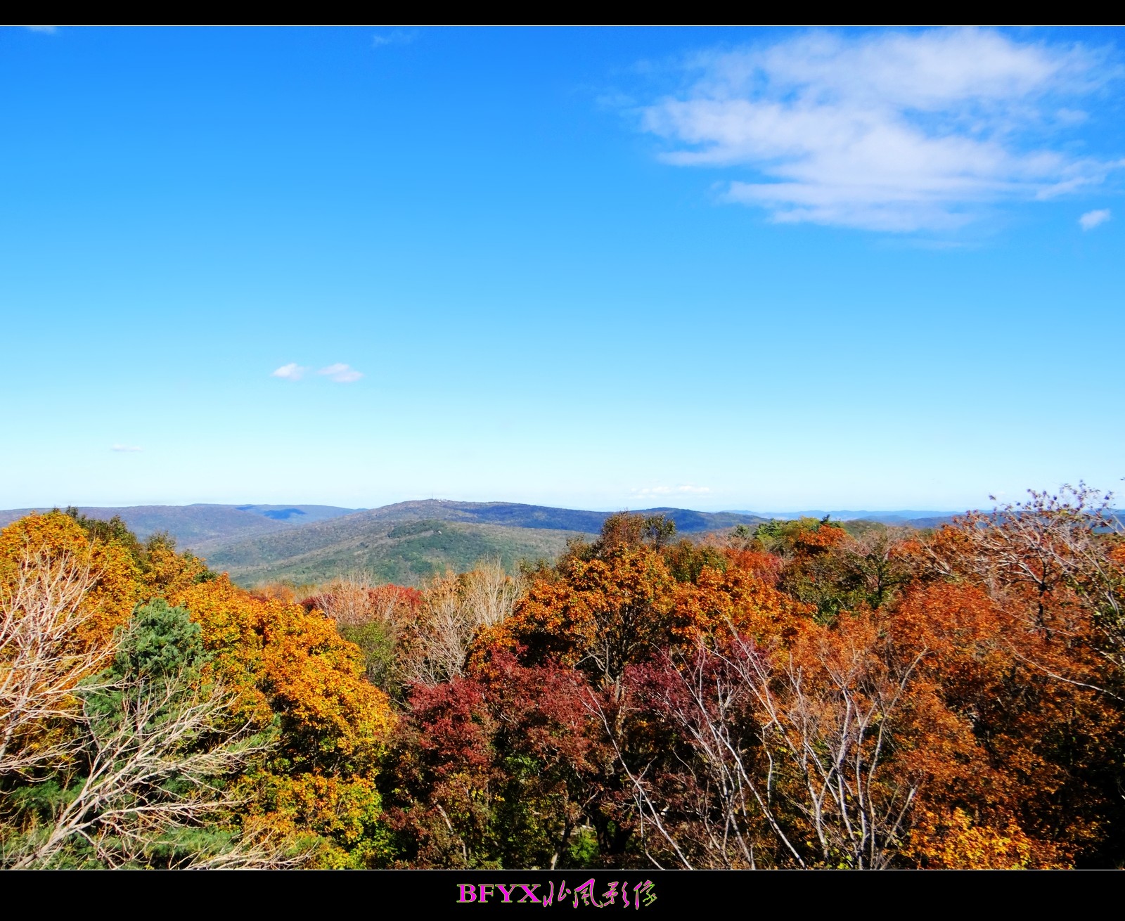 DSC00214_conew1.jpg