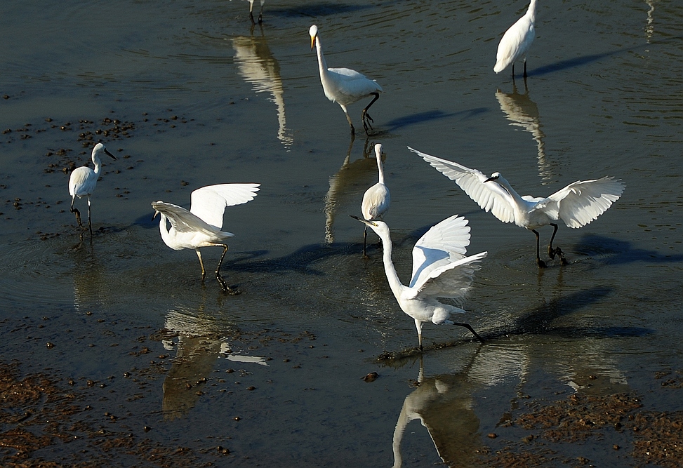 DSC_2699.jpg