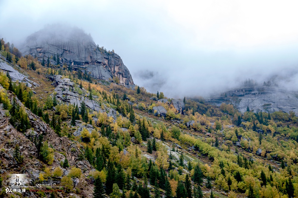 DSC_0049.jpg