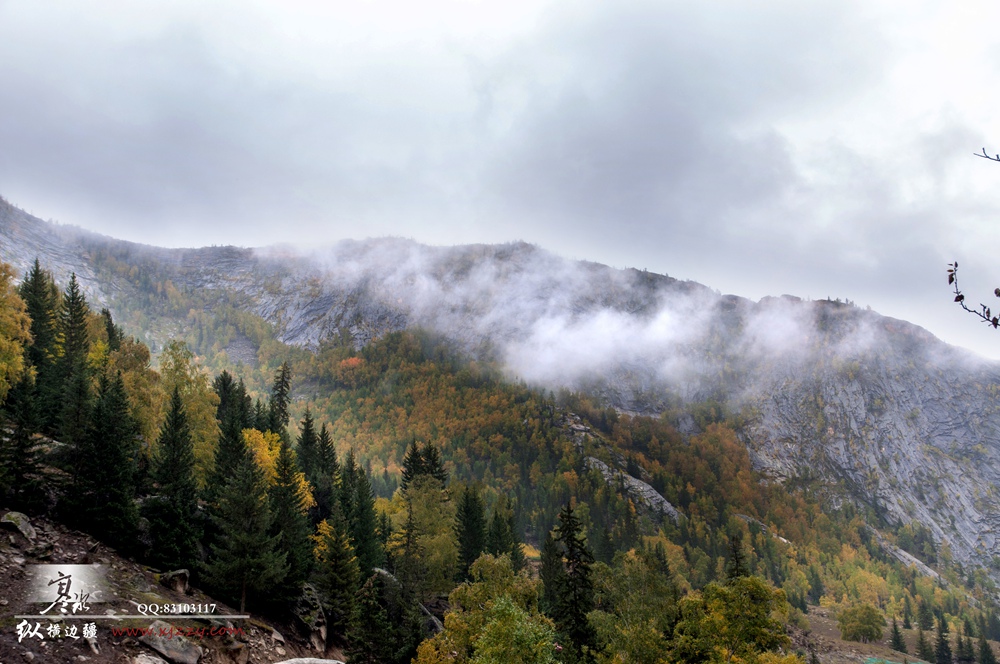 DSC_0072.jpg