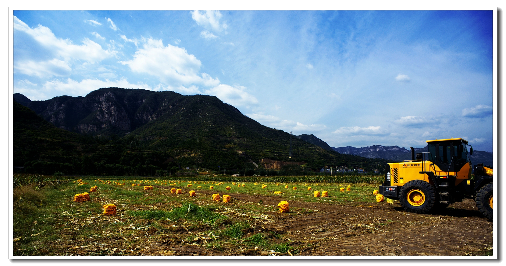 DSC04716_ͼ.jpg