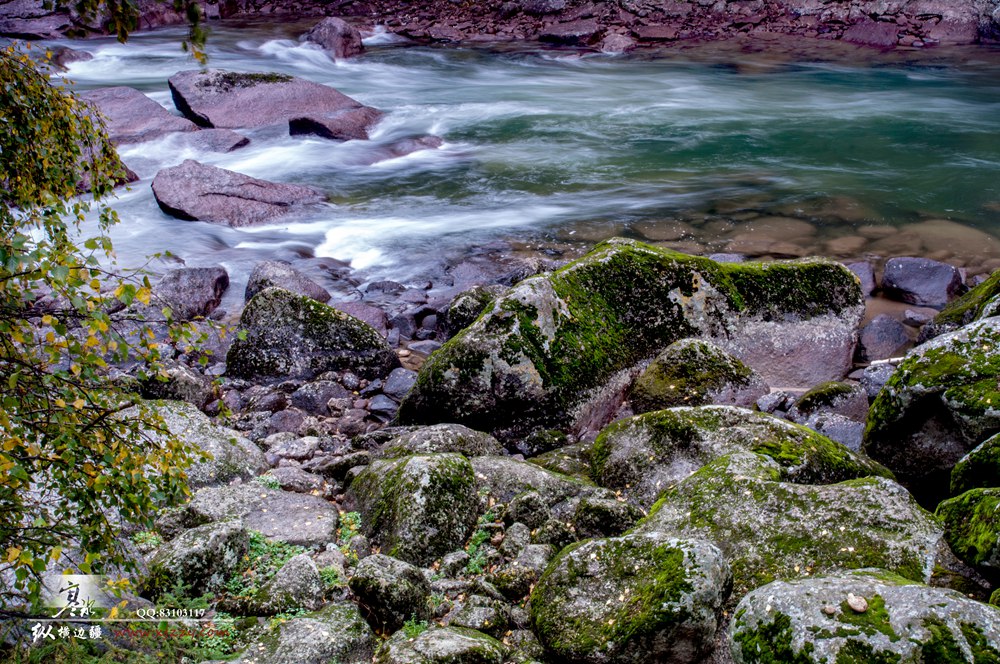 DSC_0110.jpg