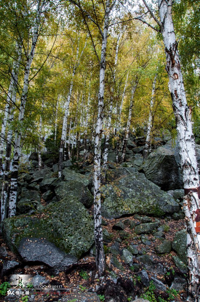 DSC_0224.jpg
