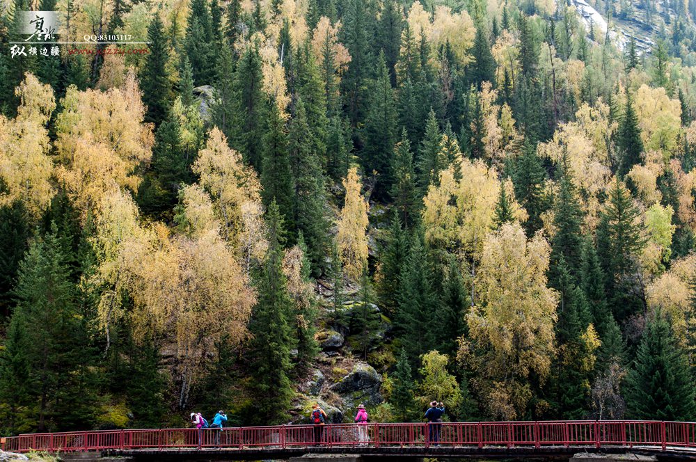 DSC_0230.jpg