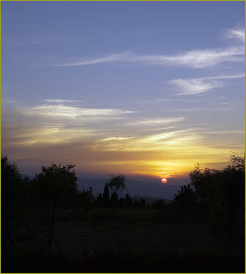 DSC_8599.jpg