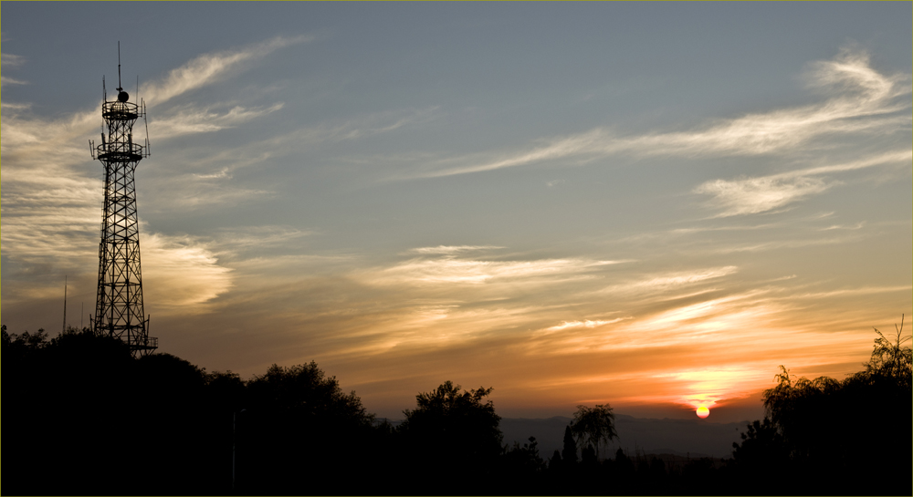 DSC_8598.jpg