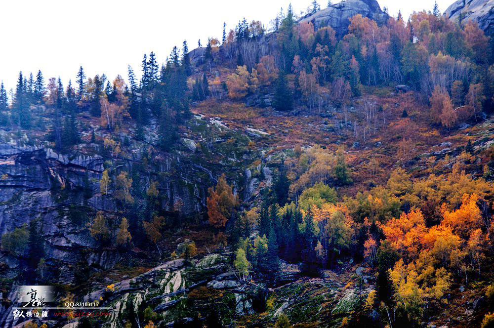 DSC_0302.jpg