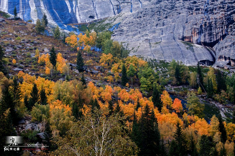 DSC_0319.jpg