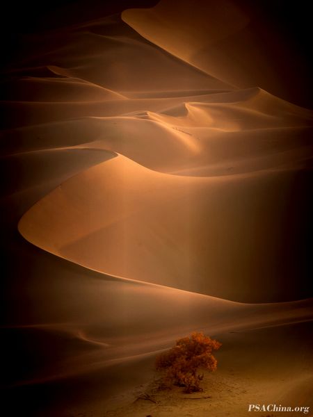 07.ԾƷɳĮաDesert sunset.jpg