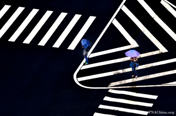 08.˽ƷߡZebra crossing.jpg