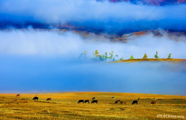 10.־ƷAutumn grazing.jpg