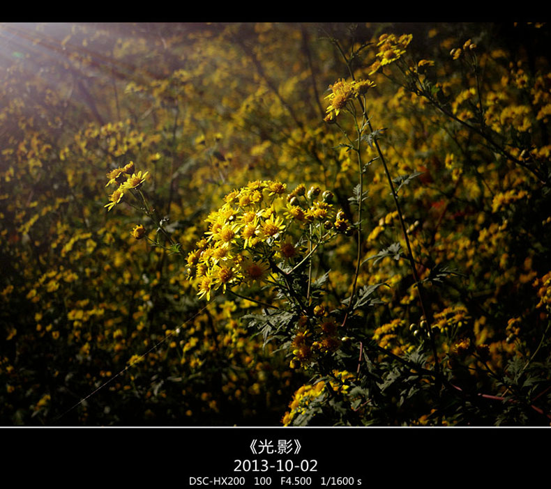 DSC02790 _.jpg