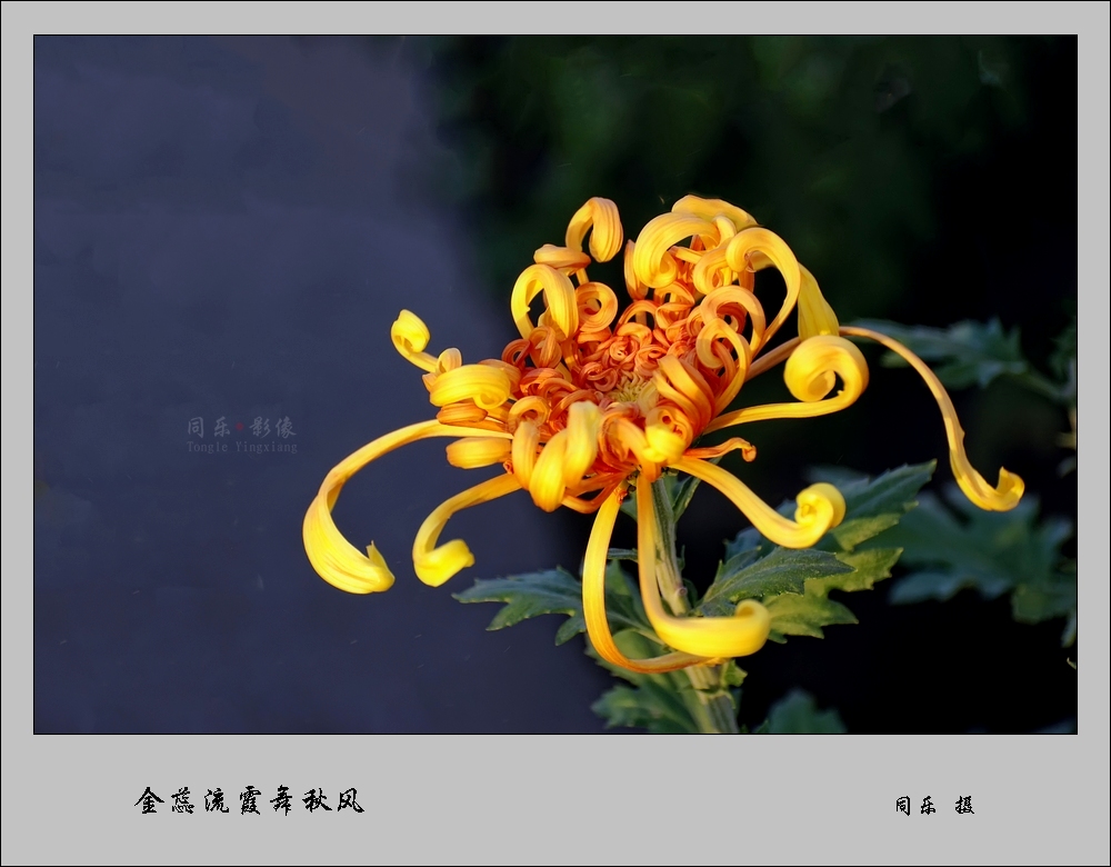 DSC_5485.jpg