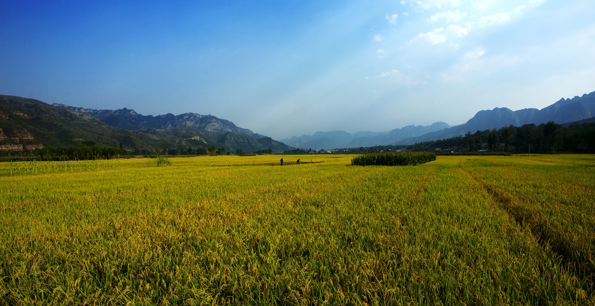 DSC04730_ͼ.jpg