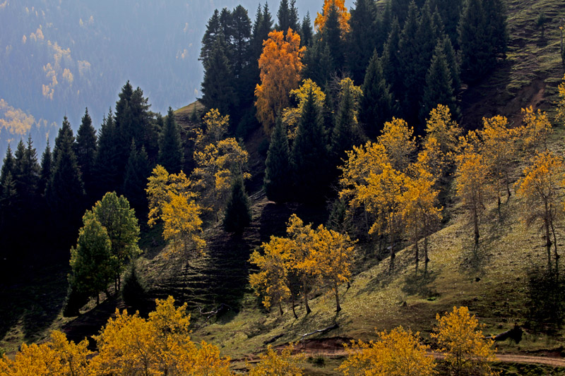 IMG_6975...jpg