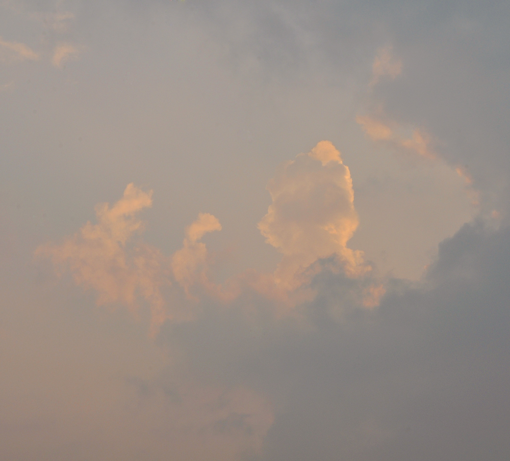 DSC_3868.jpg
