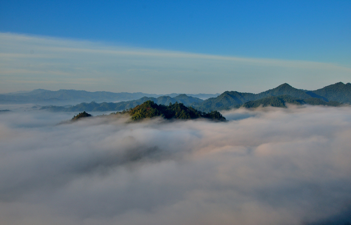 DSC_2339a.jpg
