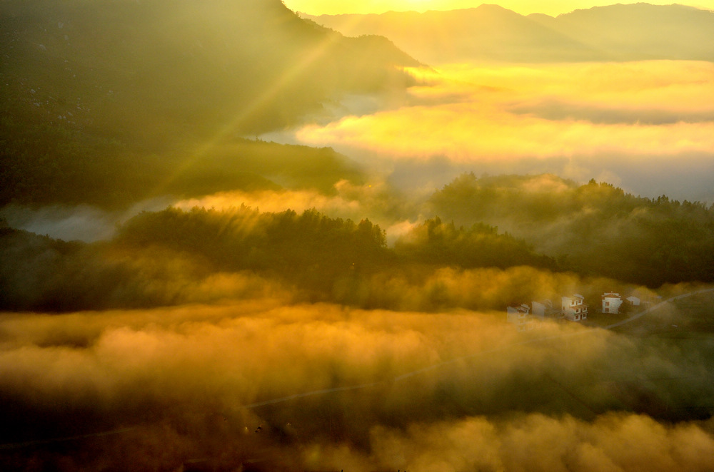 DSC_2316a.jpg