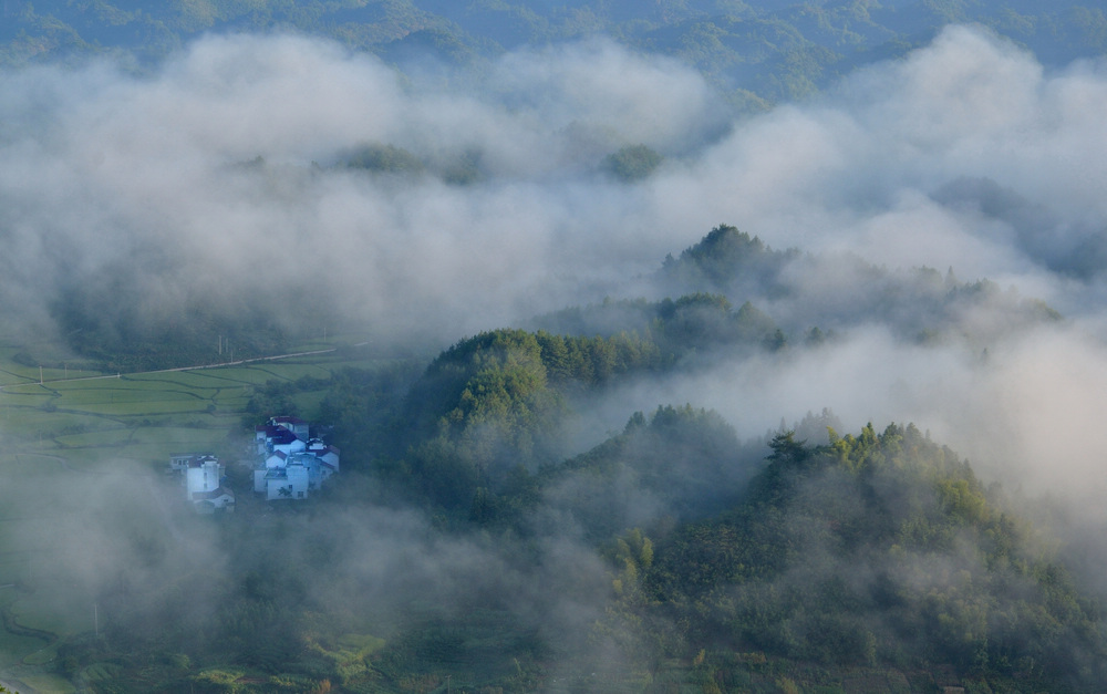 DSC_2397a.jpg