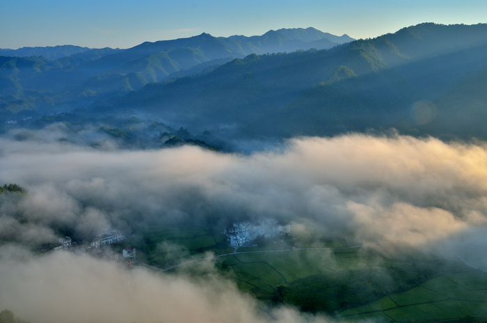 DSC_2378a.jpg